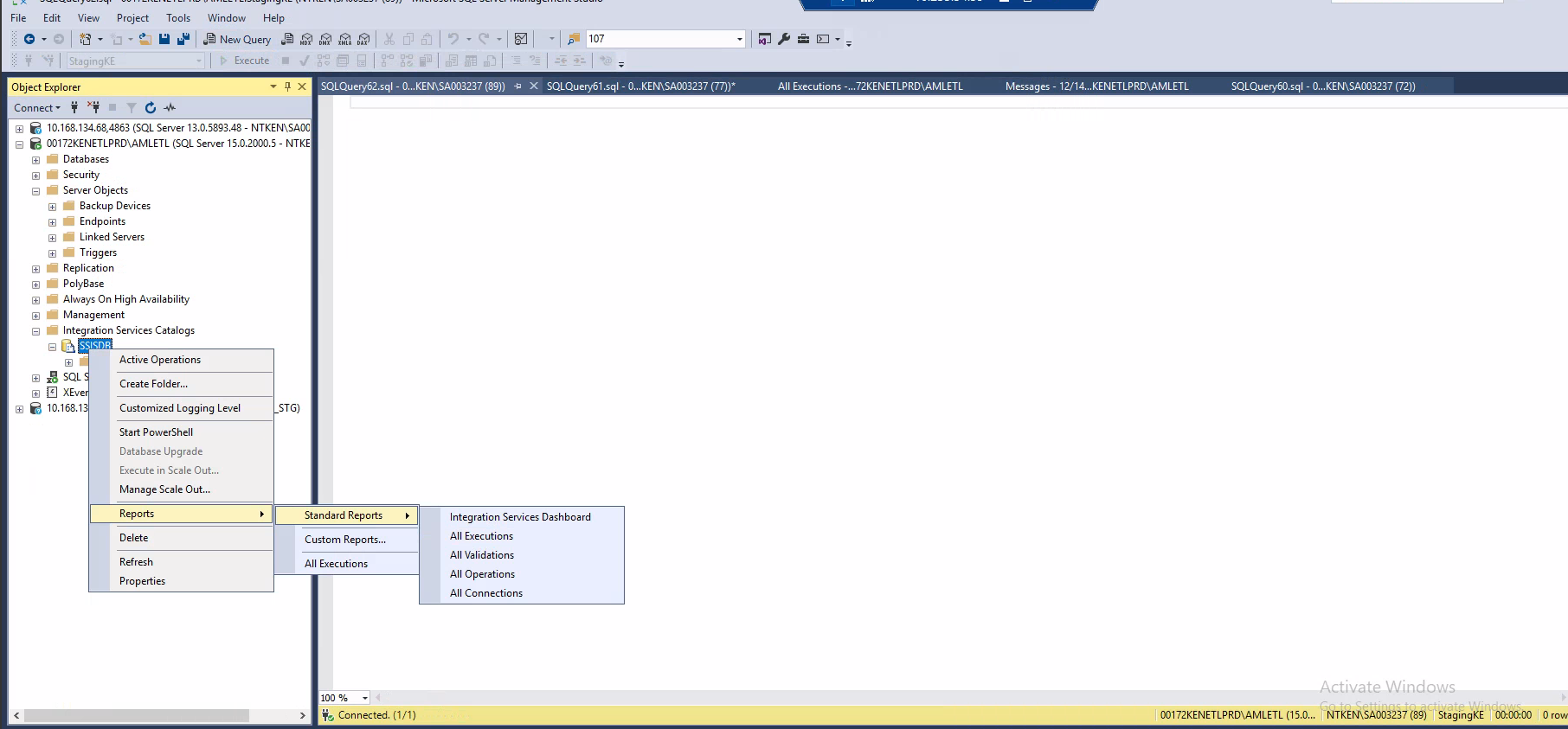 All SSIS executions